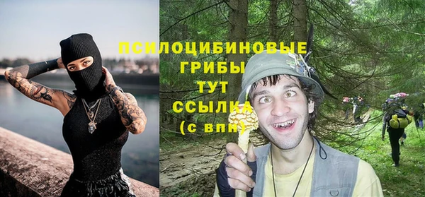 мескалин Покачи