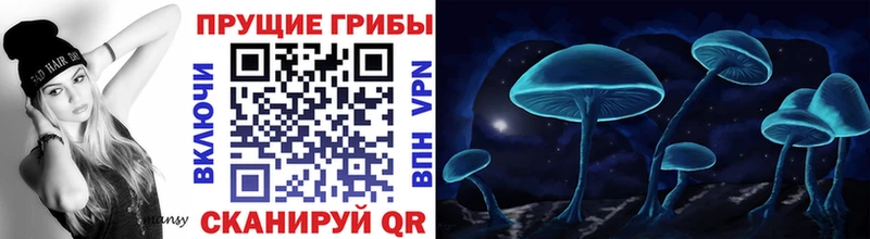 Псилоцибиновые грибы Cubensis kraken ТОР Зуевка